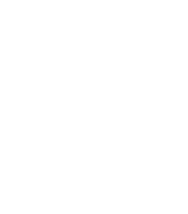 veniceロゴ